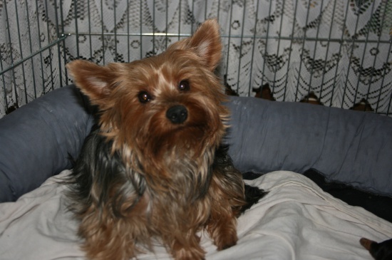 cudna sunia zadbana 